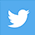 Twitter Profile